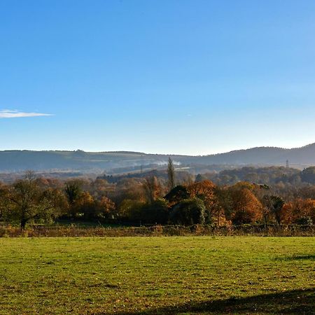 Garden Flat Near Goodwood With Stunning Views Lejlighed Petersfield Eksteriør billede