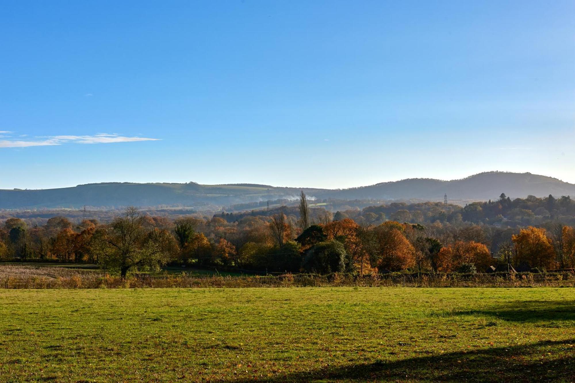 Garden Flat Near Goodwood With Stunning Views Lejlighed Petersfield Eksteriør billede